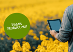 Nesteidzīgi, bet pārdomāti – īpašais ziemas rapša sēklu piedāvājums līdz 30. jūnijam
