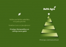 PRIECĪGUS ZIEMASSVĒTKUS UN LAIMĪGU JAUNO GADU!