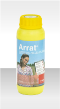 Arrat