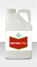 Baytan Trio