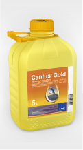 Cantus Gold