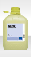 Dash