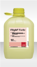 Flight Forte