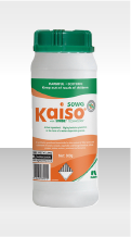 Kaiso 50 EG