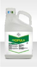 Propulse