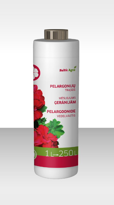 Mēslojums pelargonijām