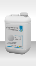 phylgreen B-Mo