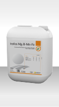 Trafos Mg-B-Mn-Fe
