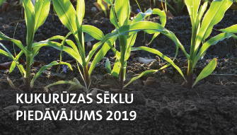 Kukurūzas sēklu piedāvājums 2019